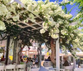 Hippocampus Lounge Restaurant