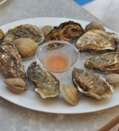 Family Nest Fish Tavern